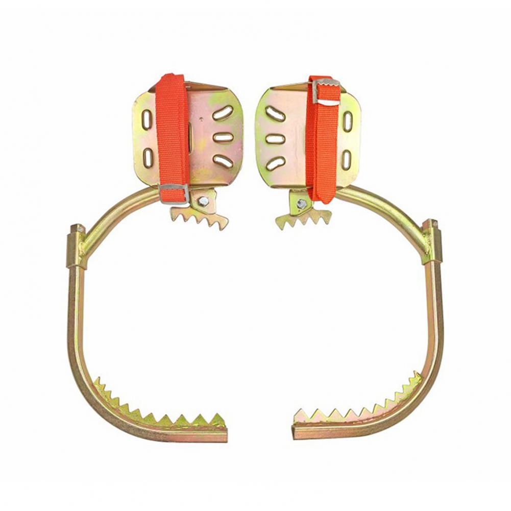 1 Conjunto de Sapatos de Escal - Shoe Tree avaliação e preço